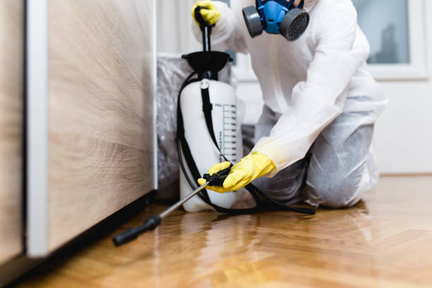 Pest Prevention Services in West Wyomissing, PA