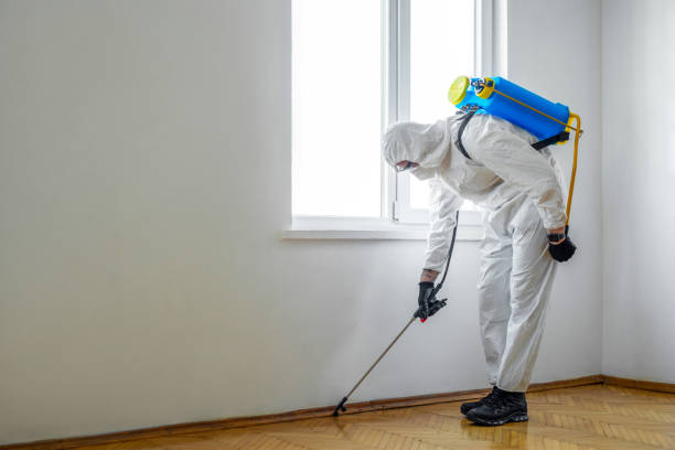 Best Mosquito Control Services  in West Wyomissing, PA