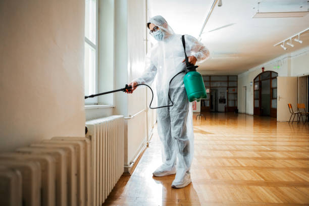 Best Pest Removal Services  in West Wyomissing, PA